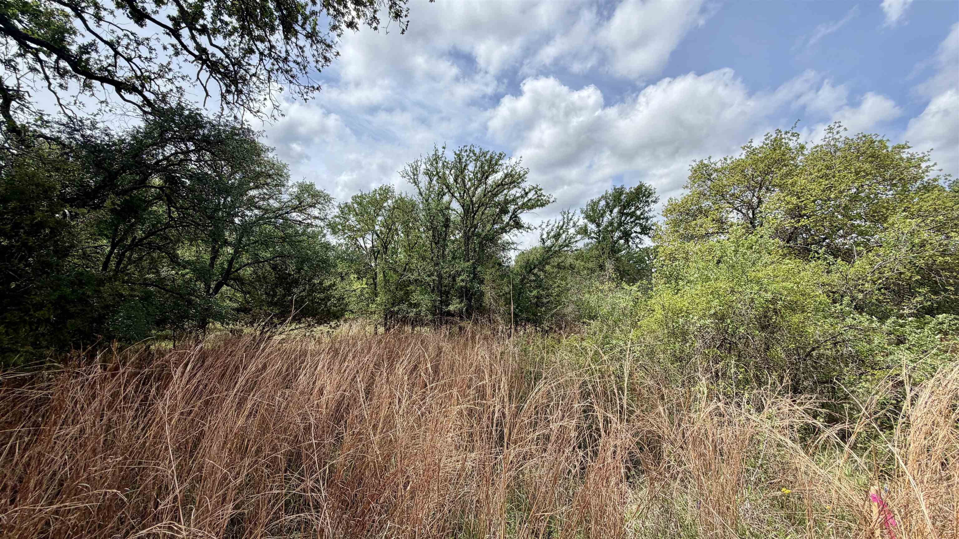 Lot 119 & 118 Ridgemont Kingsland TX 78639