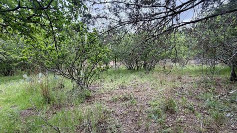 Lot 119 & 118 Ridgemont Kingsland TX 78639