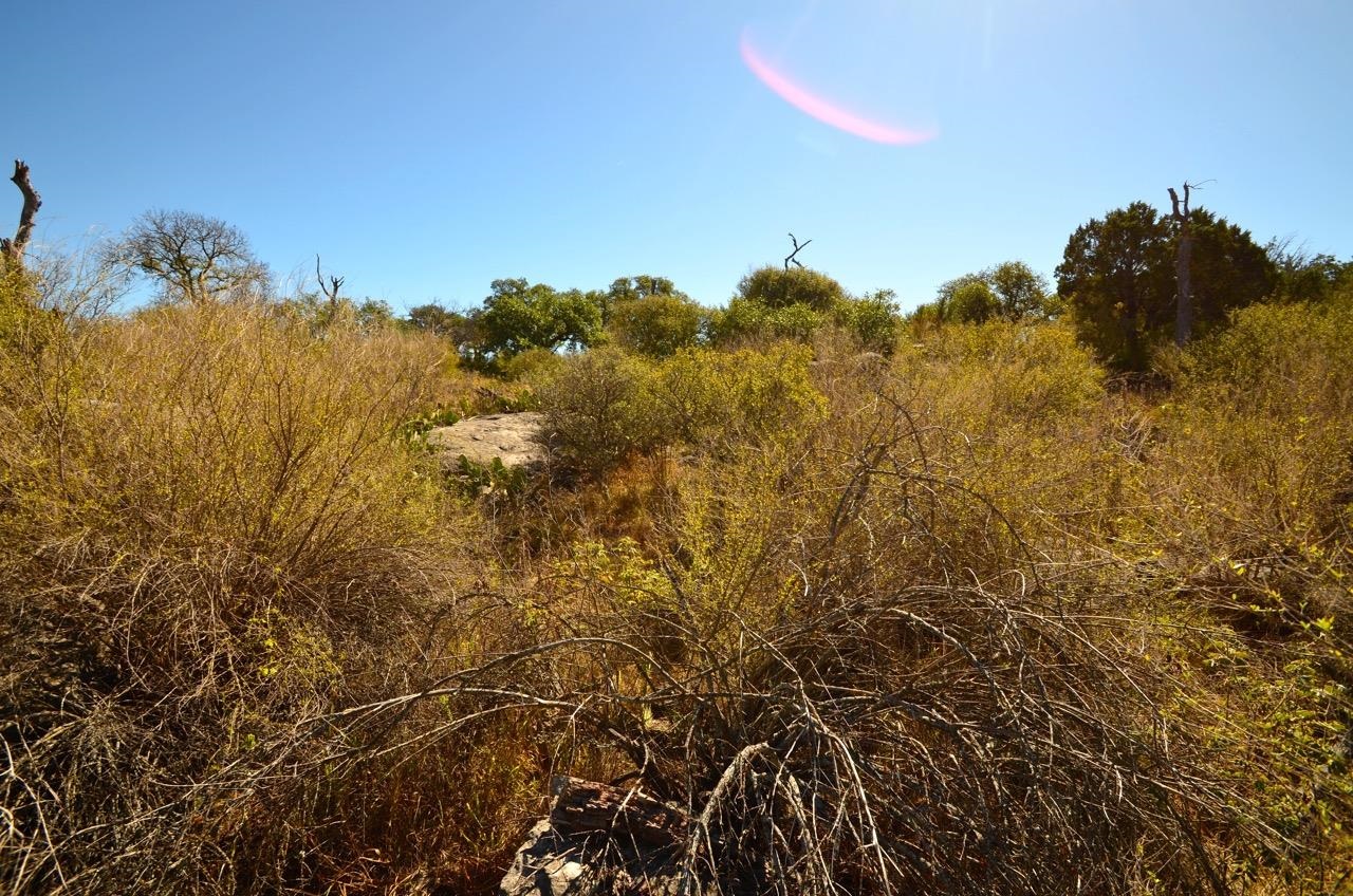 29031 Paiute Horseshoe Bay TX 78657