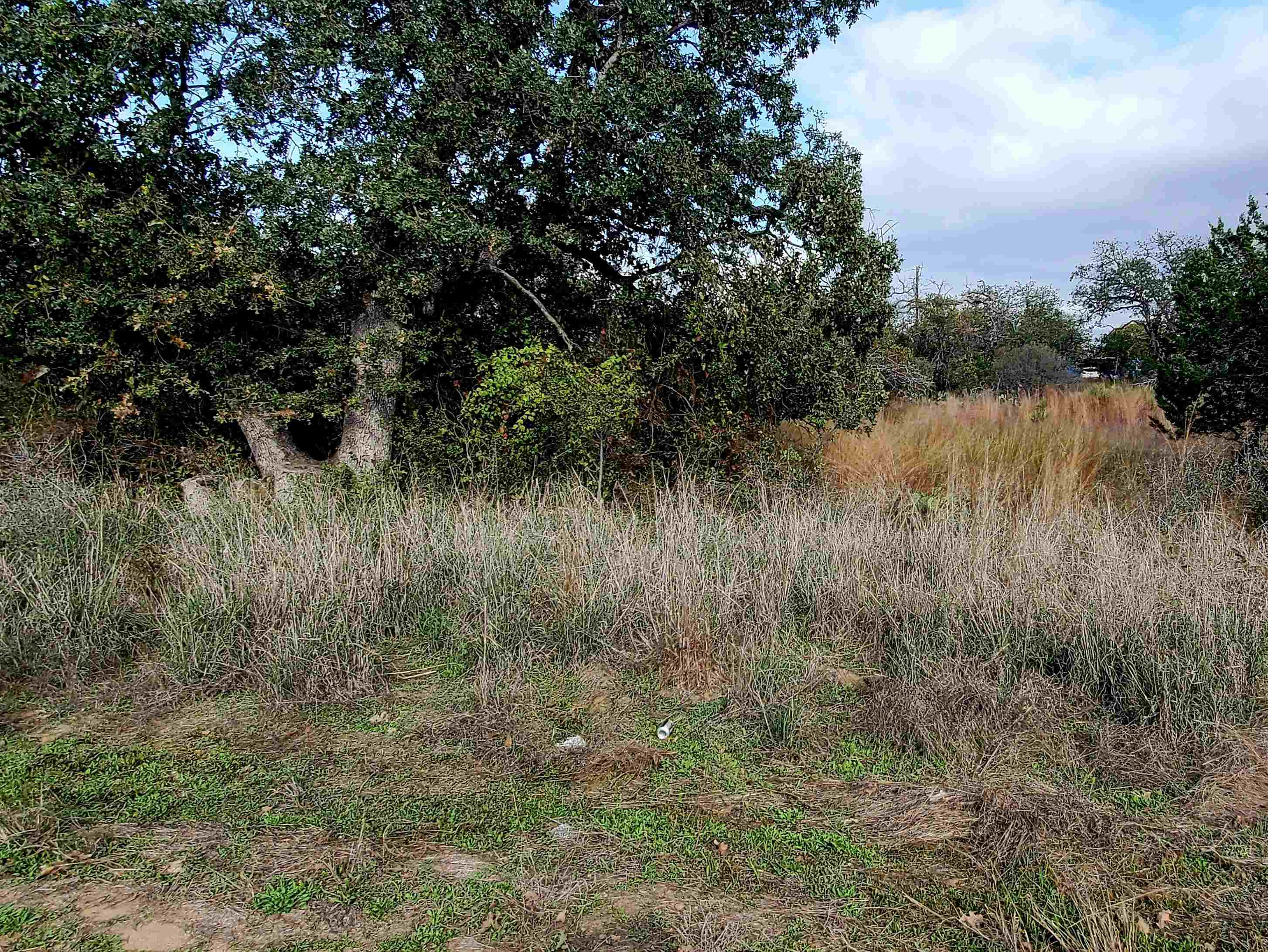 Tbd Drake Kingsland TX 78639