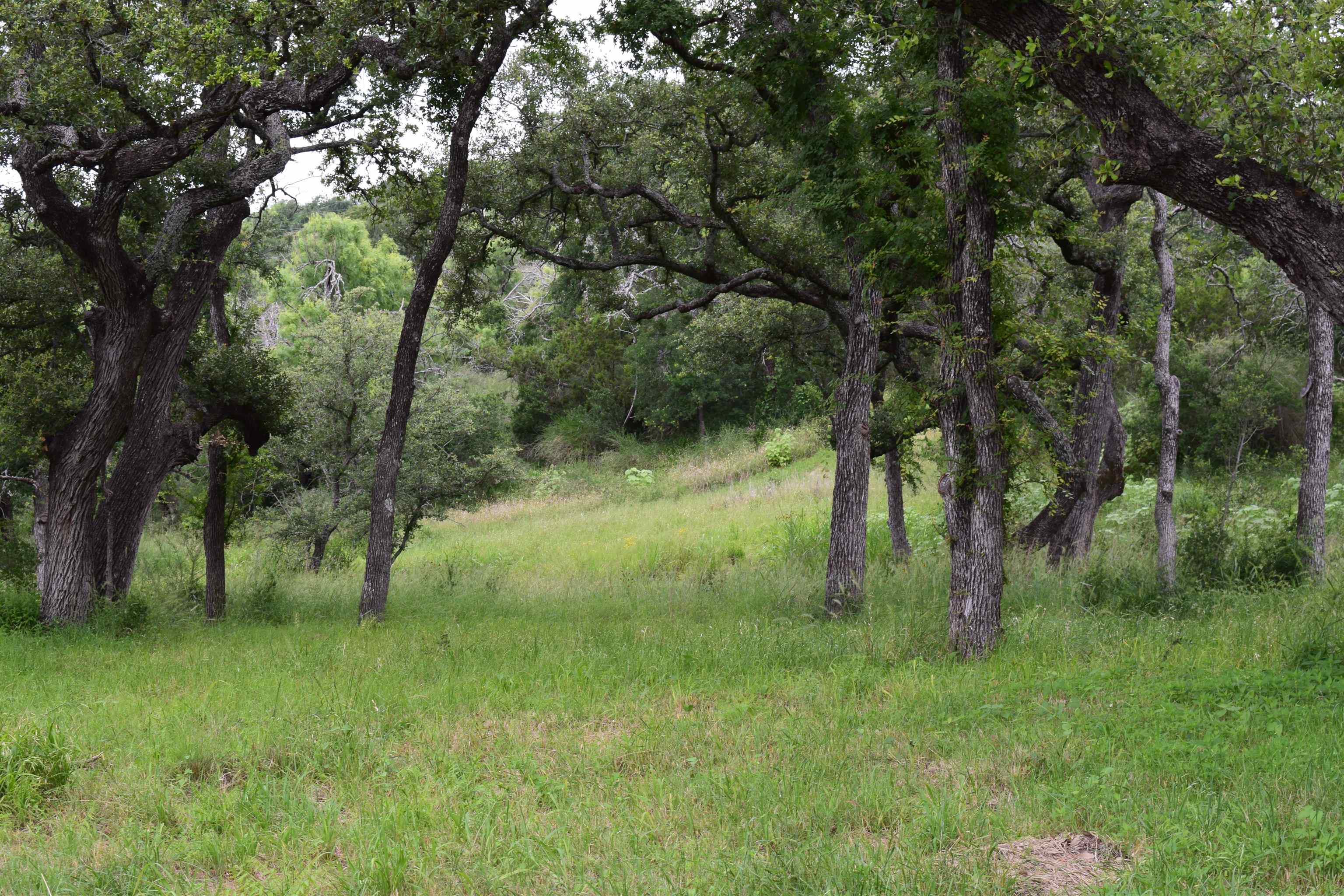 10430 Ranch Road 2341 Burnet TX 78611
