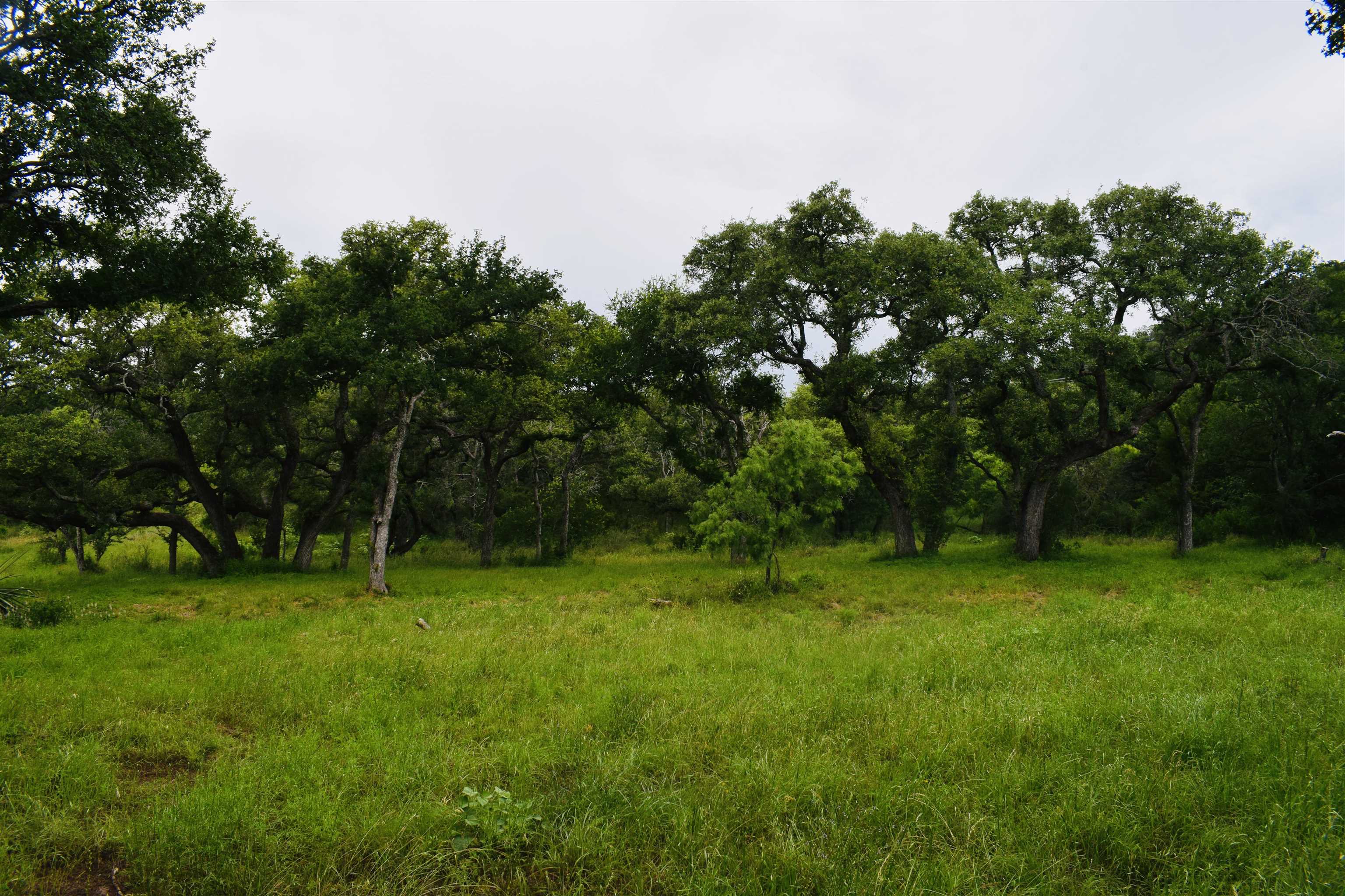 10430 Ranch Road 2341 Burnet TX 78611