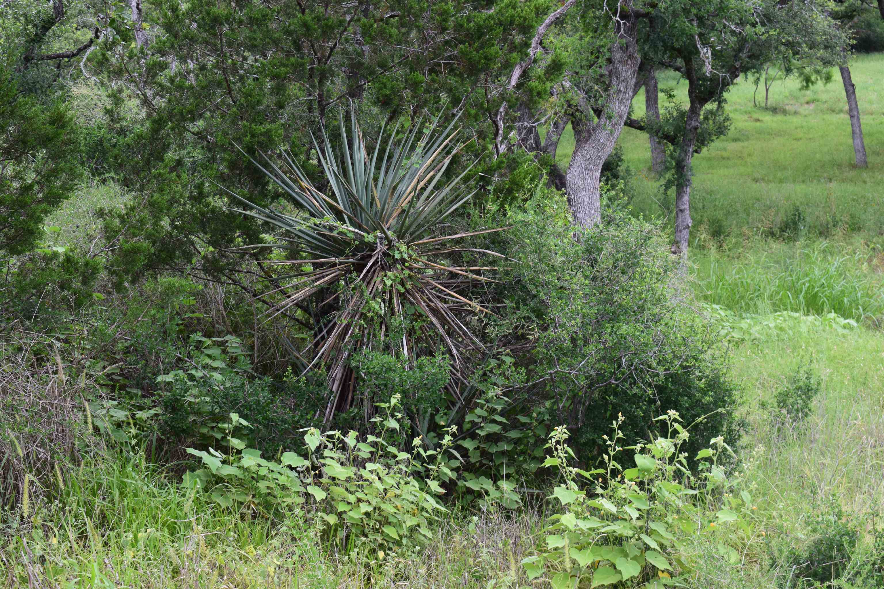 10430 Ranch Road 2341 Burnet TX 78611