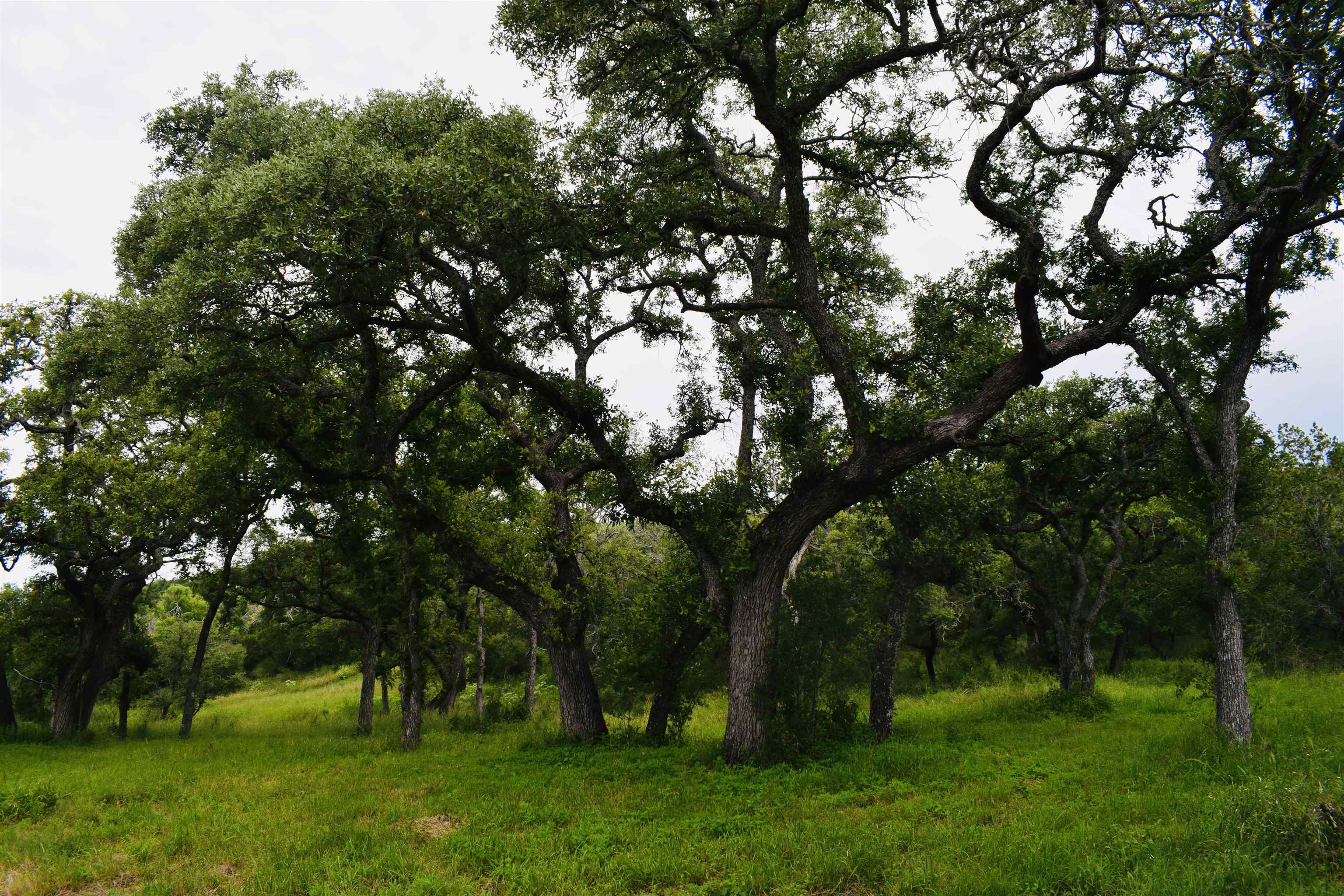 10430 Ranch Road 2341 Burnet TX 78611
