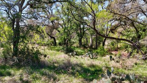 Tbd Fm 2233 Sunrise Beach TX 78643