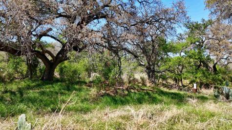 Tbd Fm 2233 Sunrise Beach TX 78643