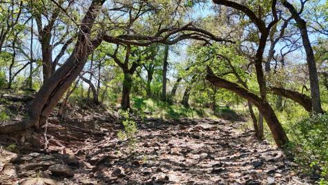 Tbd Fm 2233 Sunrise Beach TX 78643