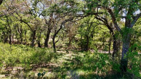 Tbd Fm 2233 Sunrise Beach TX 78643