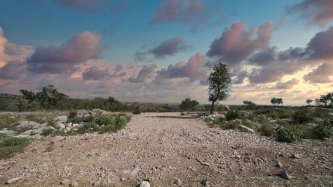 Lot 74 Big Creek Drive Kingsland TX 78639