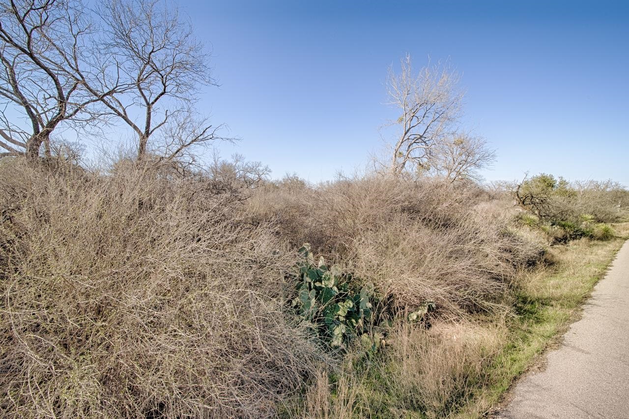 Lot 509 S Lake Drive Granite Shoals TX 78654
