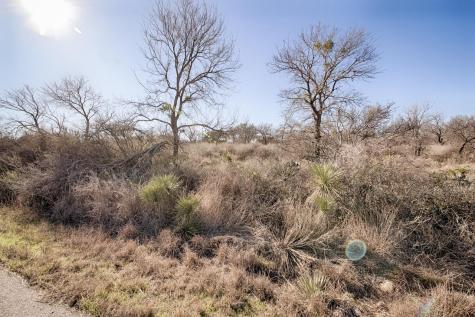 Lot 509 S Lake Drive Granite Shoals TX 78654