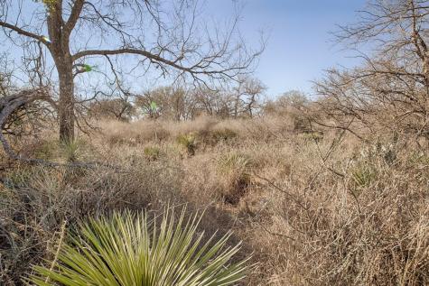 Lot 509 S Lake Drive Granite Shoals TX 78654