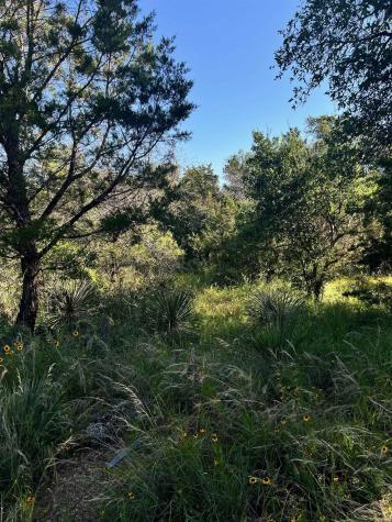 0 Castlelake Drive Granite Shoals TX 78654