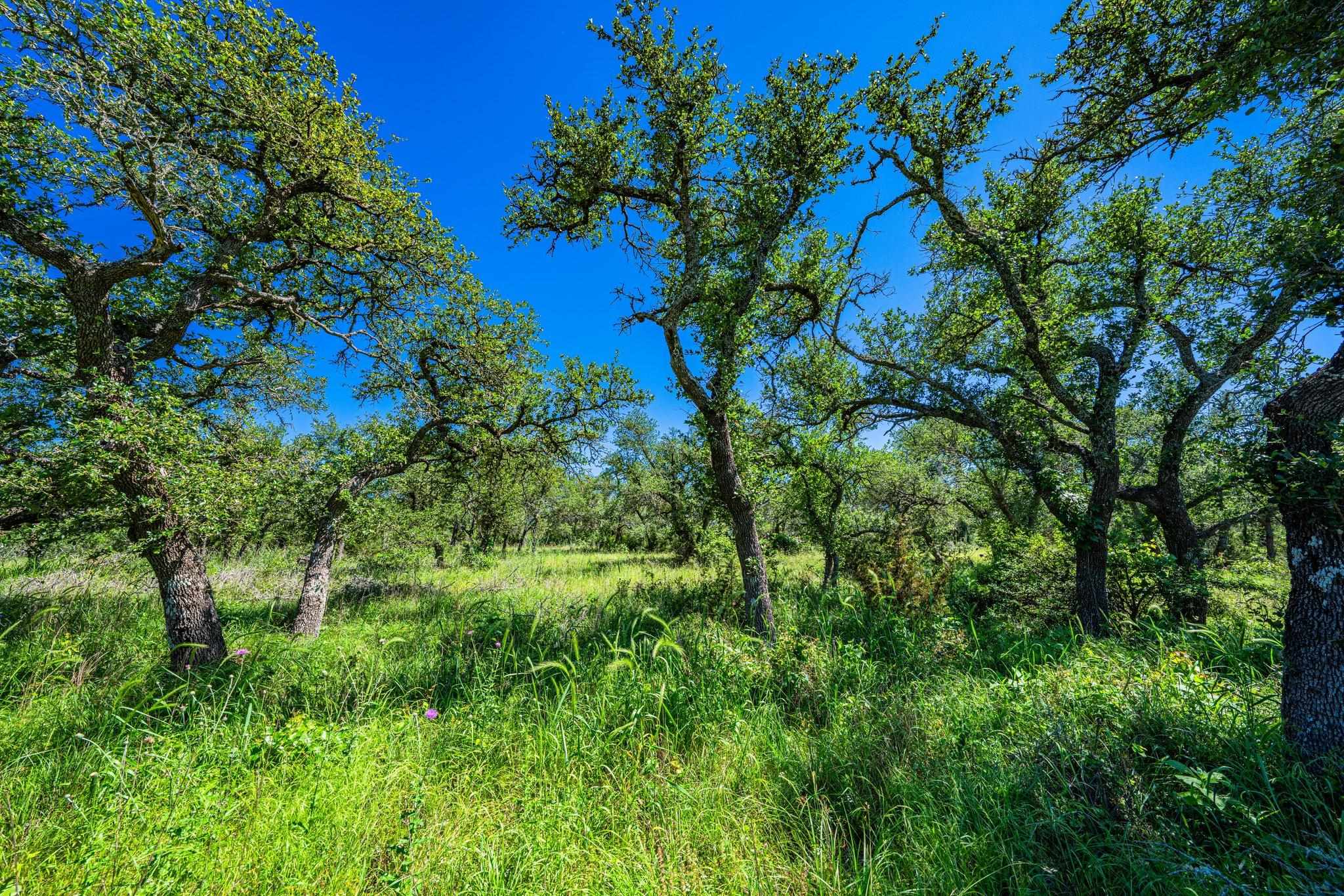 518 W Sunset Drive Johnson City TX 78636