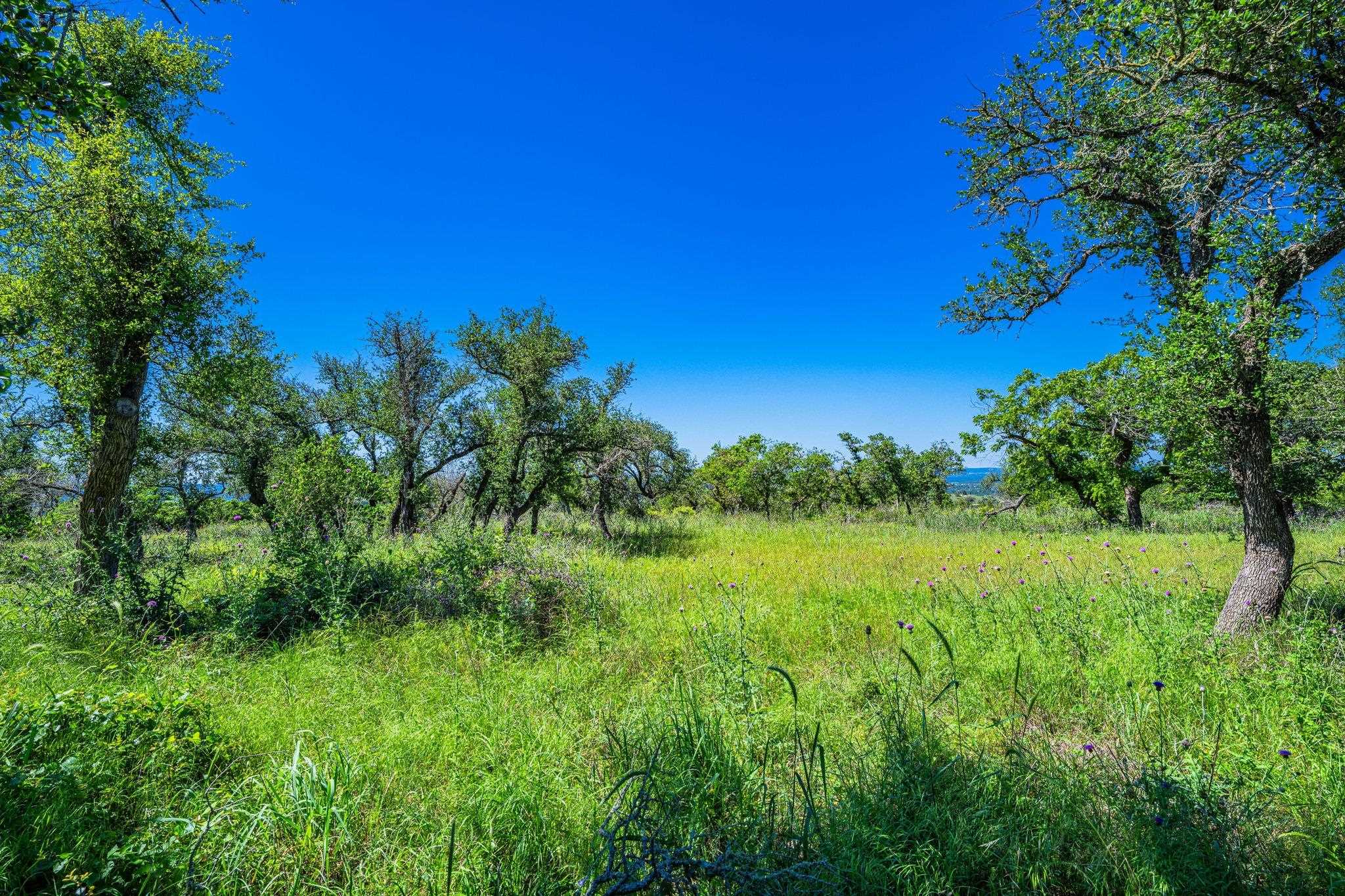 518 W Sunset Drive Johnson City TX 78636