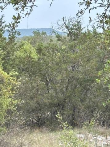Lot 10 Fox Horn Circle Marble Falls TX 78654