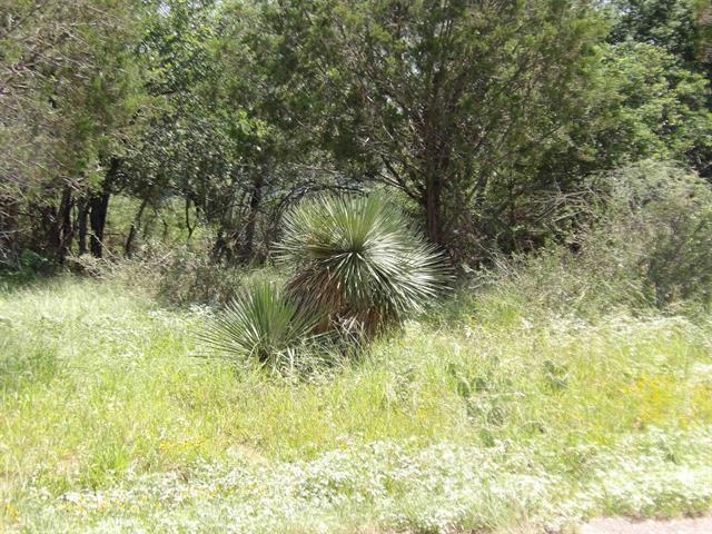 Lot 352 Rosehill Granite Shoals TX 78654