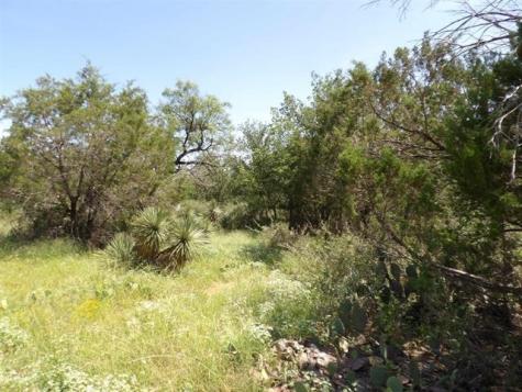 Lot 352 Rosehill Granite Shoals TX 78654