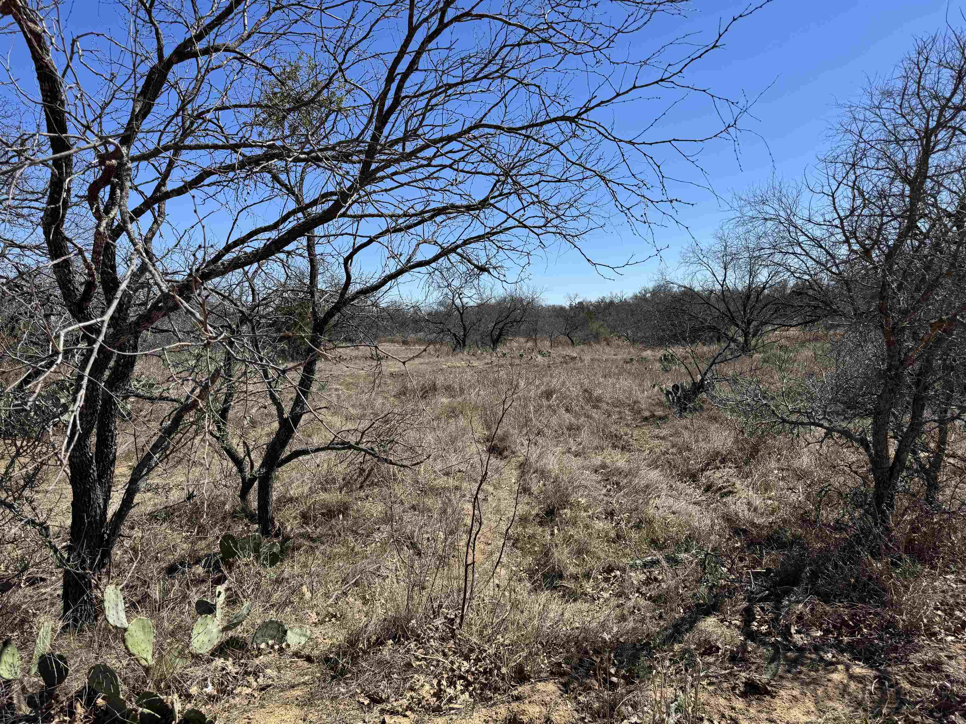 Lot 128 Brent Drive Kingsland TX 78639