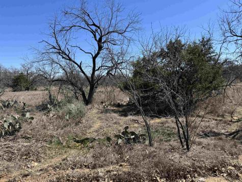 Lot 128 Brent Drive Kingsland TX 78639