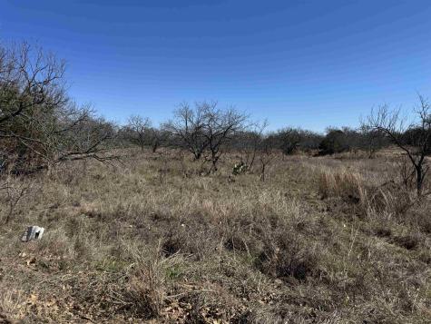 Lot 128 Brent Drive Kingsland TX 78639