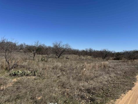 Lot 128 Brent Drive Kingsland TX 78639