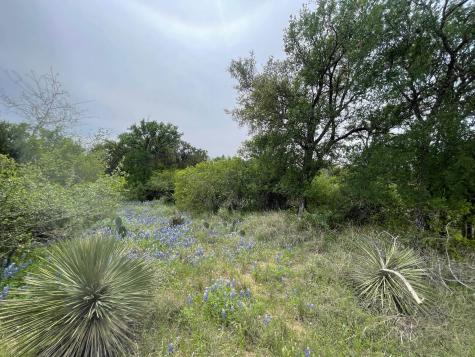 Lots 175 & 176 Hill Wood Granite Shoals TX 78654