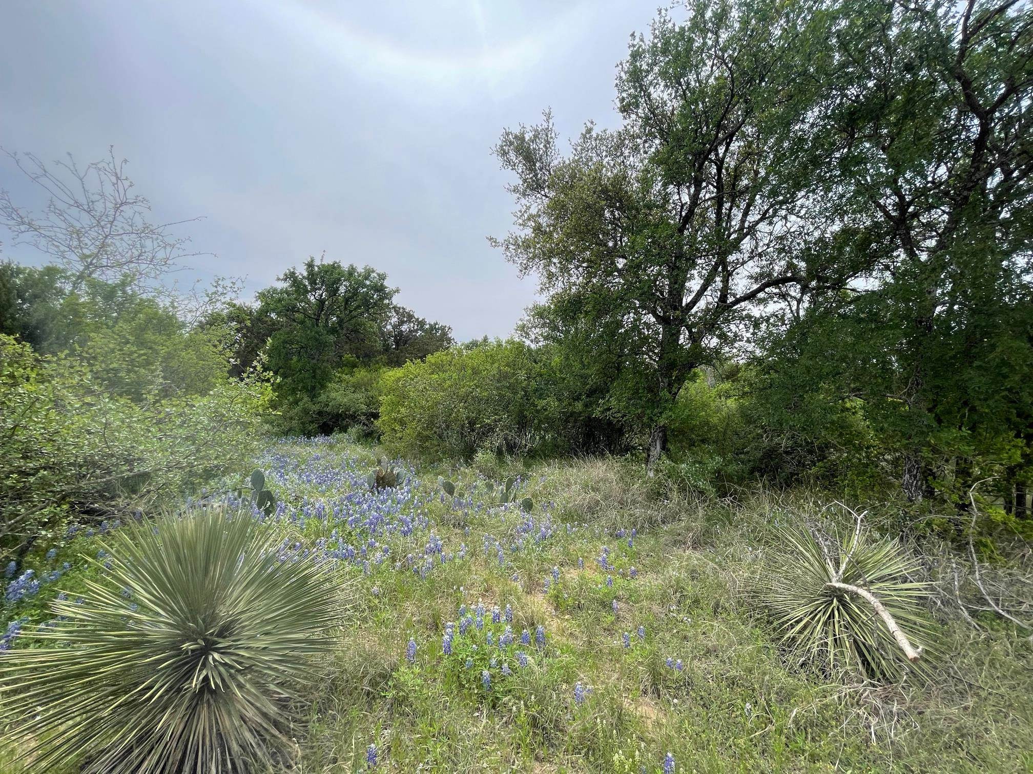 Lots 175 & 176 Hill Wood Granite Shoals TX 78654