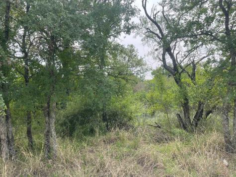 Lots 175 & 176 Hill Wood Granite Shoals TX 78654