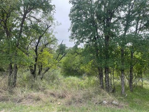 Lots 175 & 176 Hill Wood Granite Shoals TX 78654