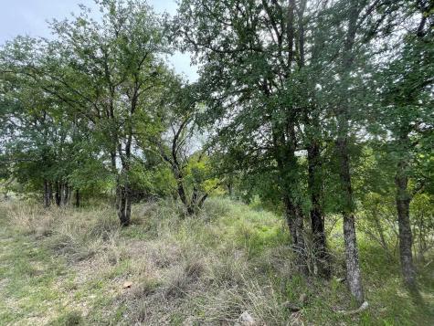 Lots 175 & 176 Hill Wood Granite Shoals TX 78654