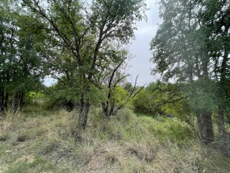 Lots 175 & 176 Hill Wood Granite Shoals TX 78654