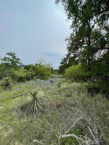 Lots 175 & 176 Hill Wood Granite Shoals TX 78654