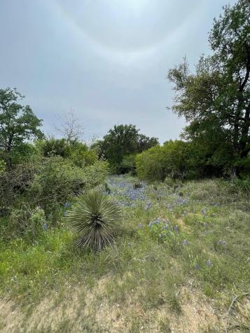 Lots 175 & 176 Hill Wood Granite Shoals TX 78654