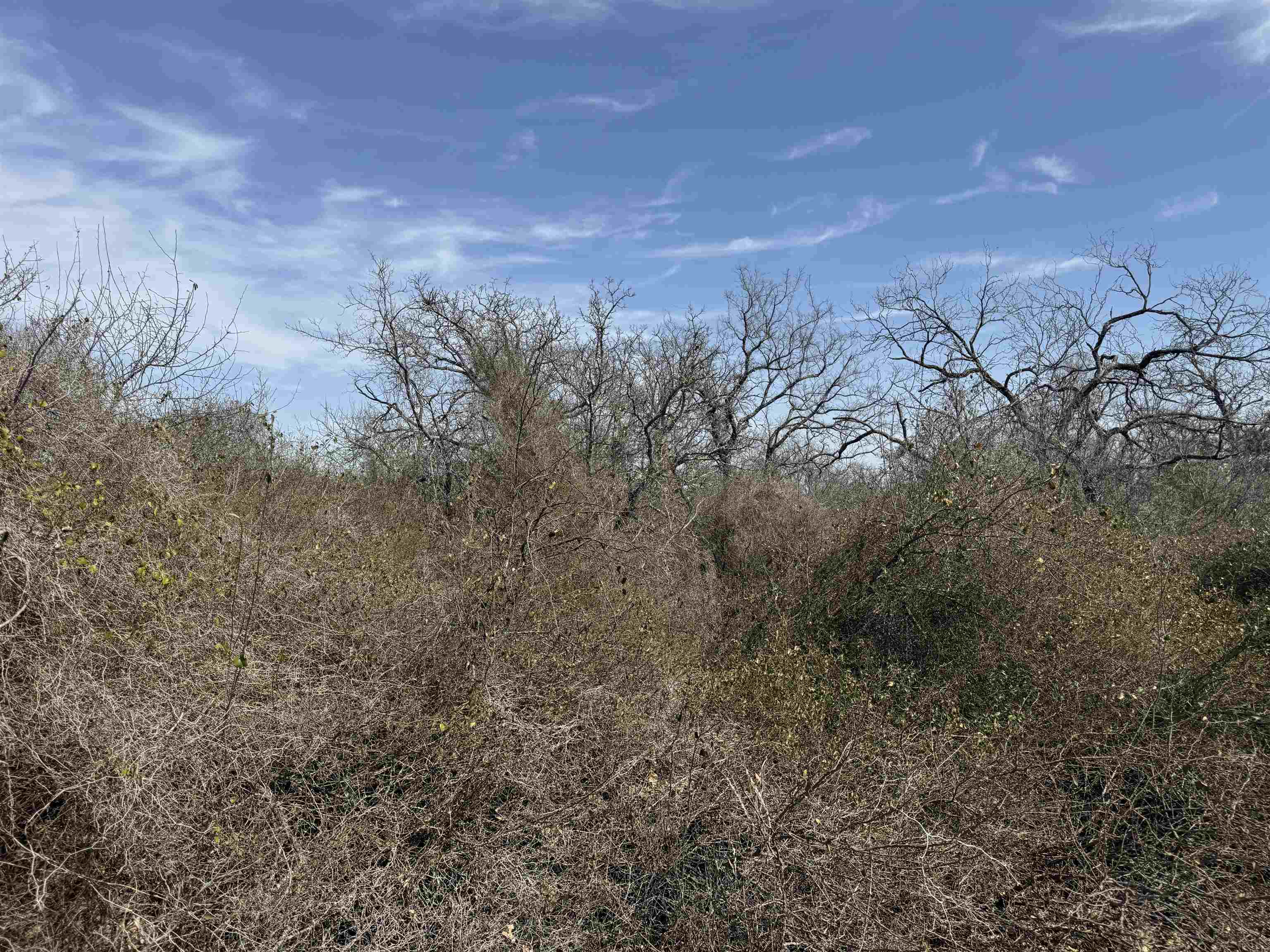 Lot 275-282 Aspermont Drive Kingsland TX 78639