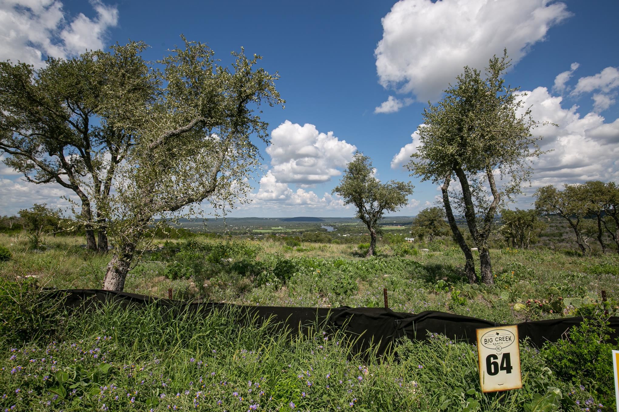 Lot 64 Tbd Big Creek Drive, Big Creek Ranch Kingsland TX 78654