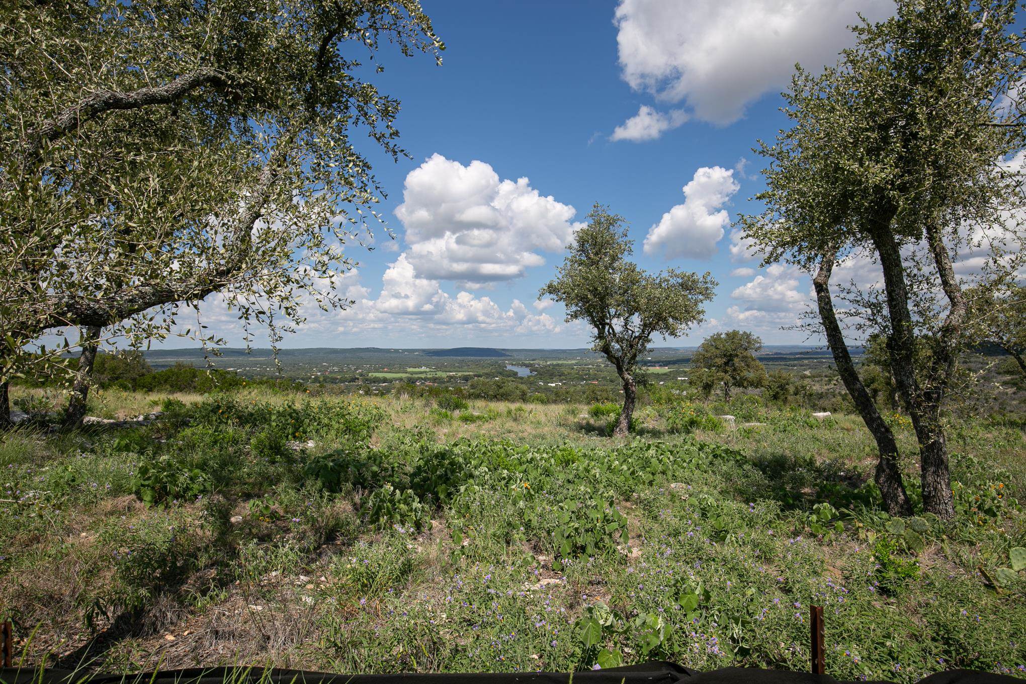 Lot 64 Tbd Big Creek Drive, Big Creek Ranch Kingsland TX 78654