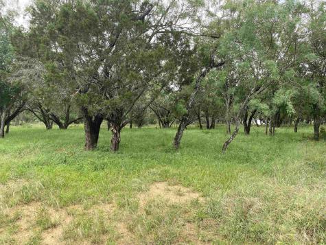 Tbd Driftwood Lane Cottonwood Shores TX 78657