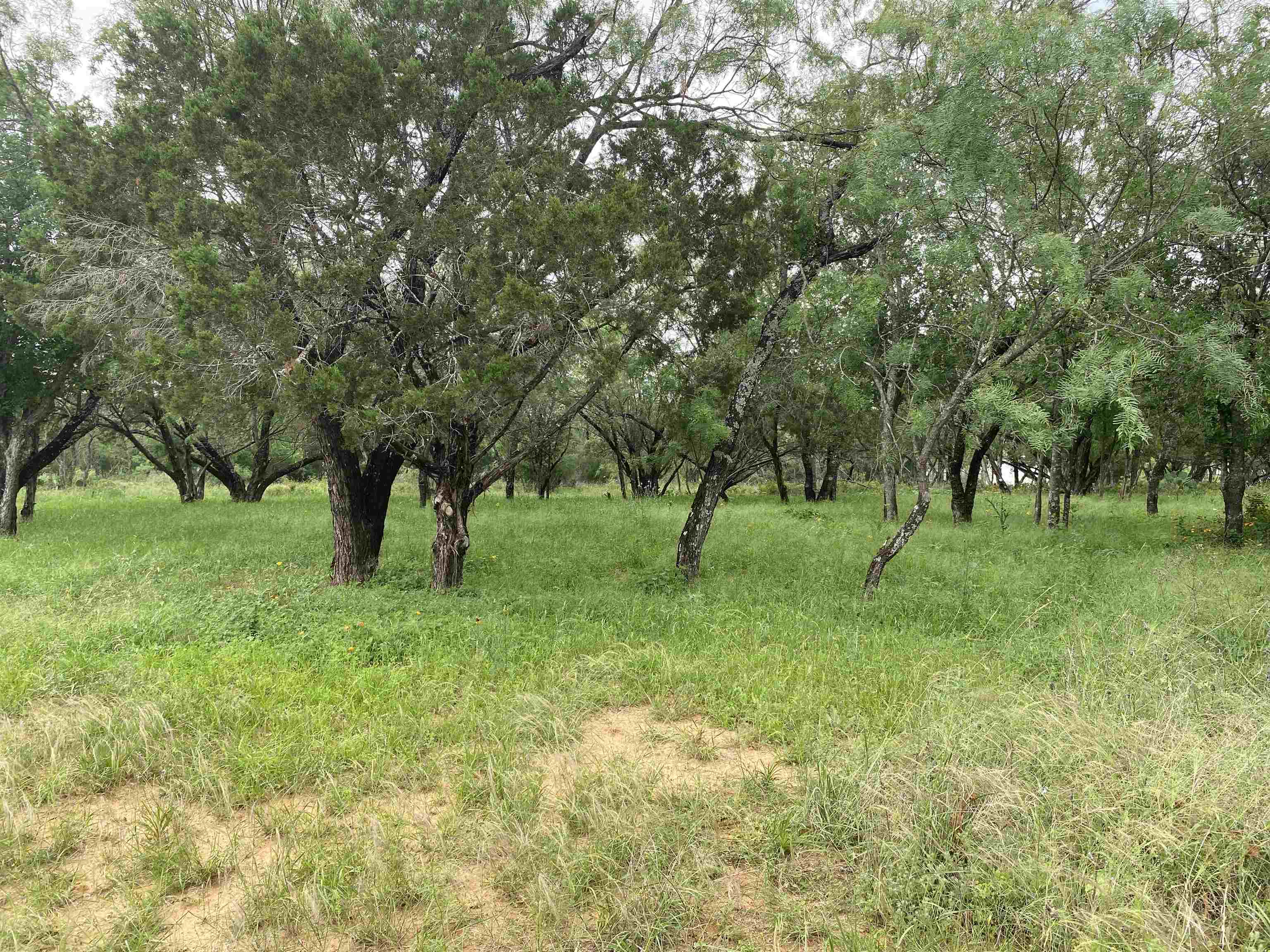 Tbd Driftwood Lane Cottonwood Shores TX 78657