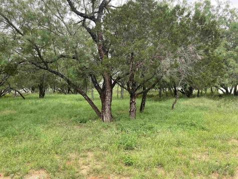 Tbd Driftwood Lane Cottonwood Shores TX 78657