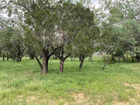 Tbd Driftwood Lane Cottonwood Shores TX 78657