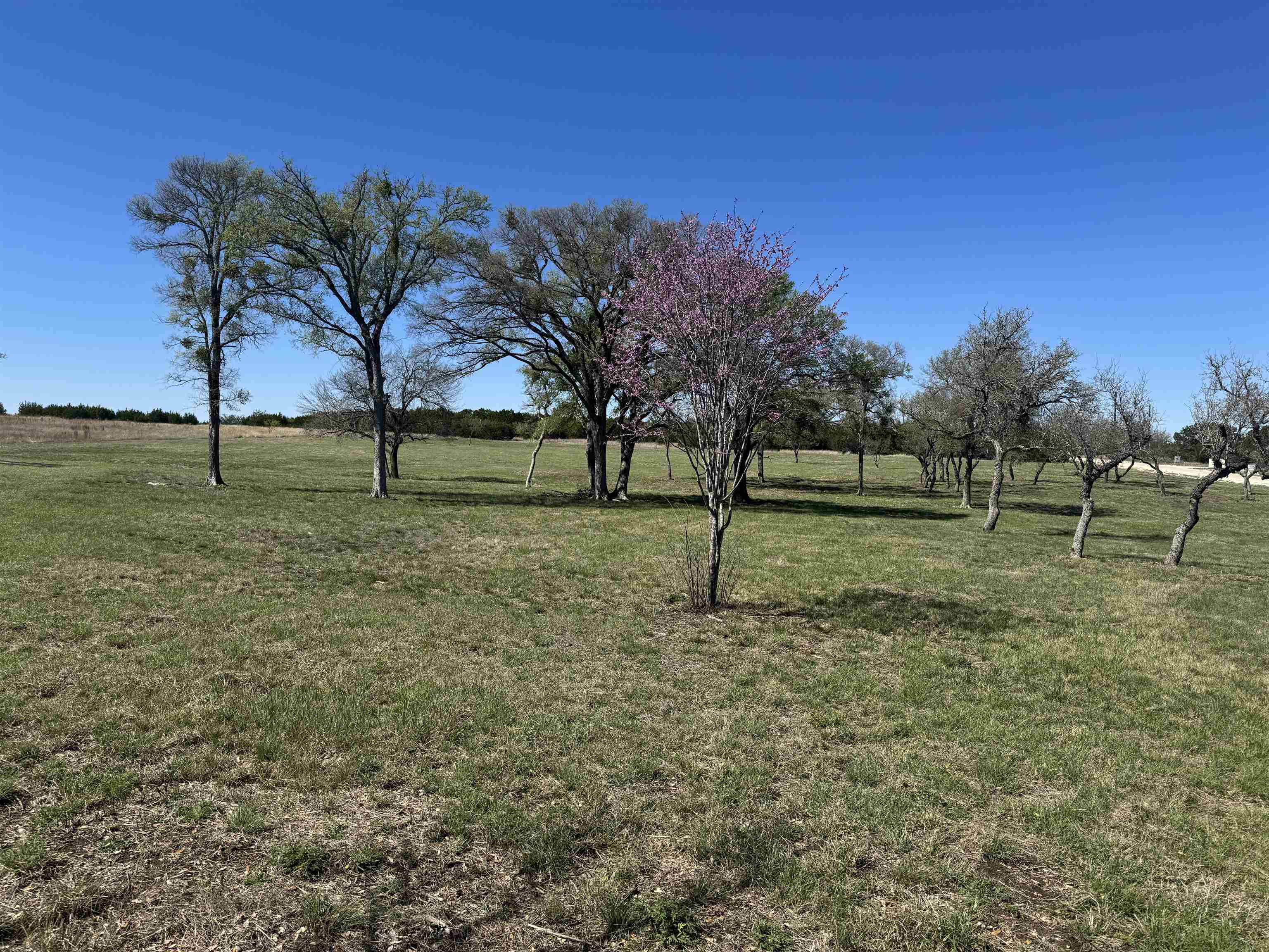Tract 34 Burnet Oaks Burnet TX 78611