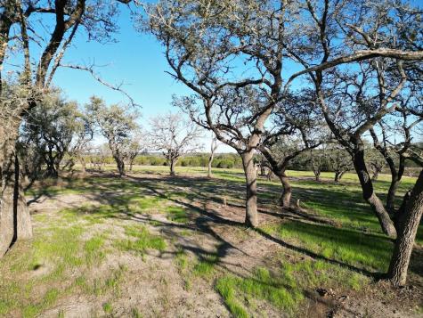 Tract 34 Burnet Oaks Burnet TX 78611