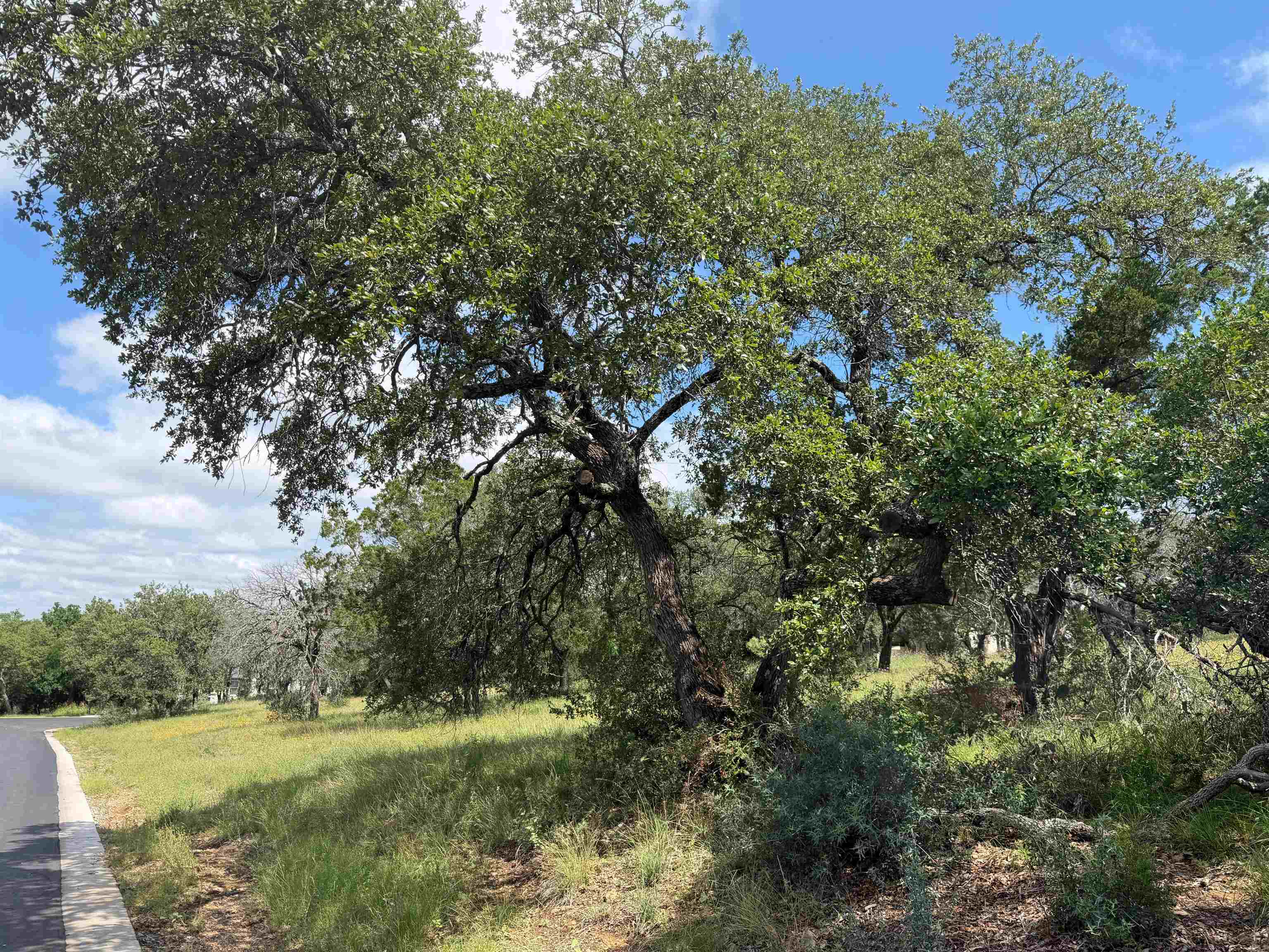 113 Lost Nugget Horseshoe Bay TX 78657