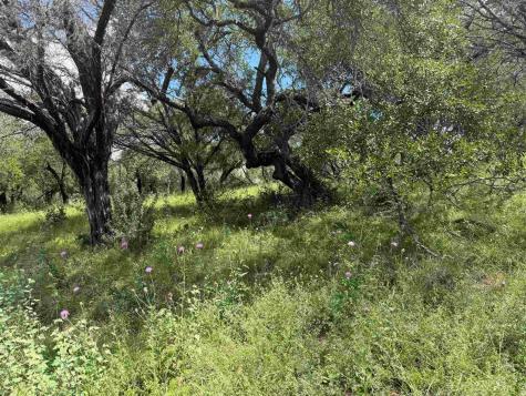 113 Lost Nugget Horseshoe Bay TX 78657
