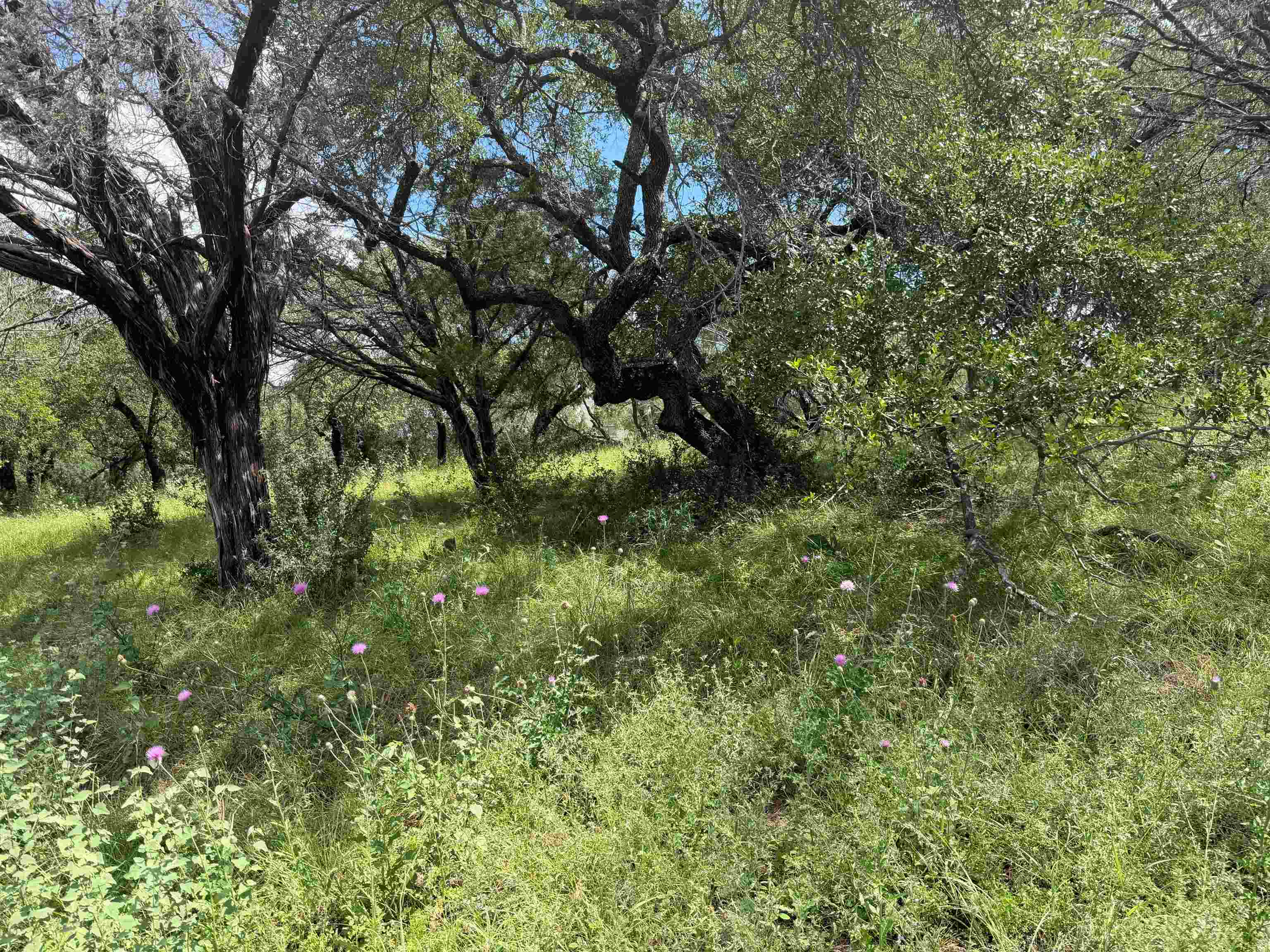 113 Lost Nugget Horseshoe Bay TX 78657