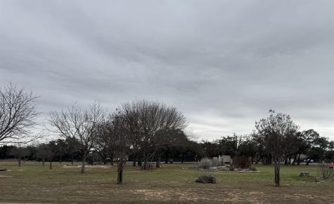 20204 Lewis Cove Lago Vista TX 78645