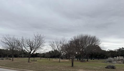 20204 Lewis Cove Lago Vista TX 78645