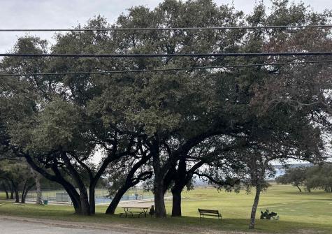 20204 Lewis Cove Lago Vista TX 78645