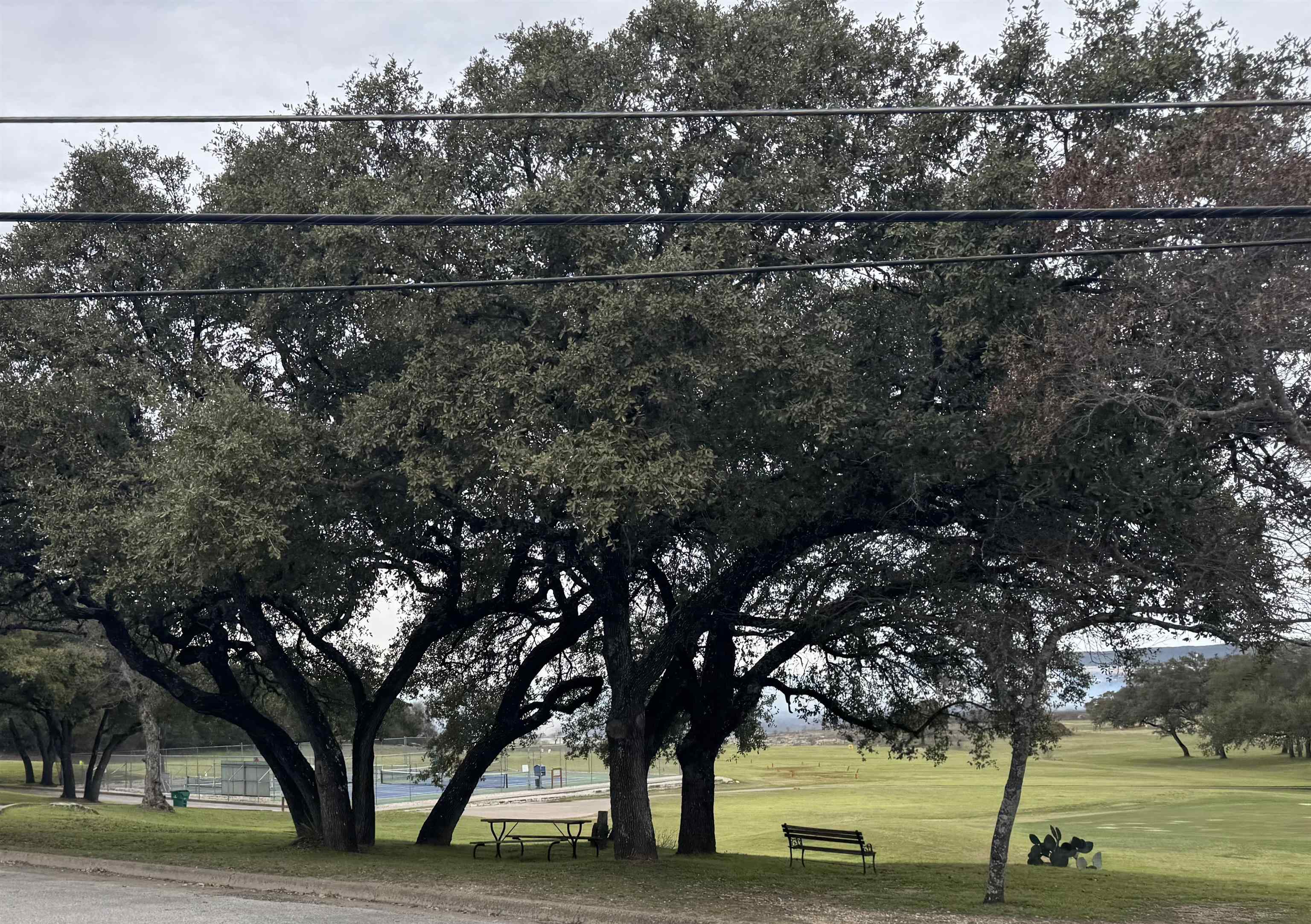 20204 Lewis Cove Lago Vista TX 78645